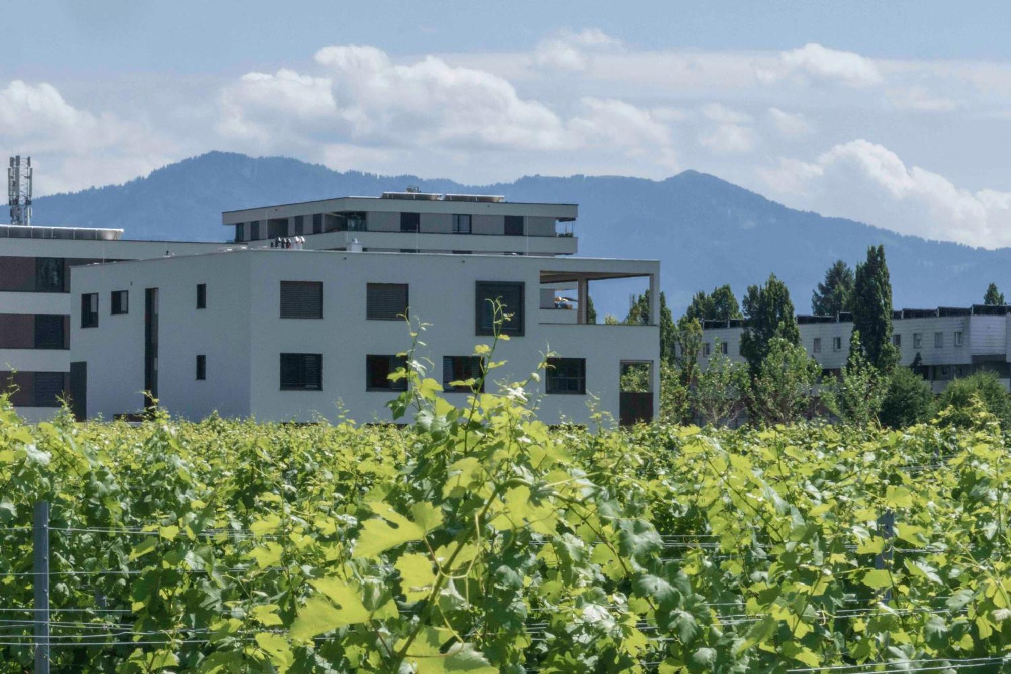 Welcome 73M2 Ferienwohnung 10 Min. Zum Bodensee Bregenz Ngoại thất bức ảnh